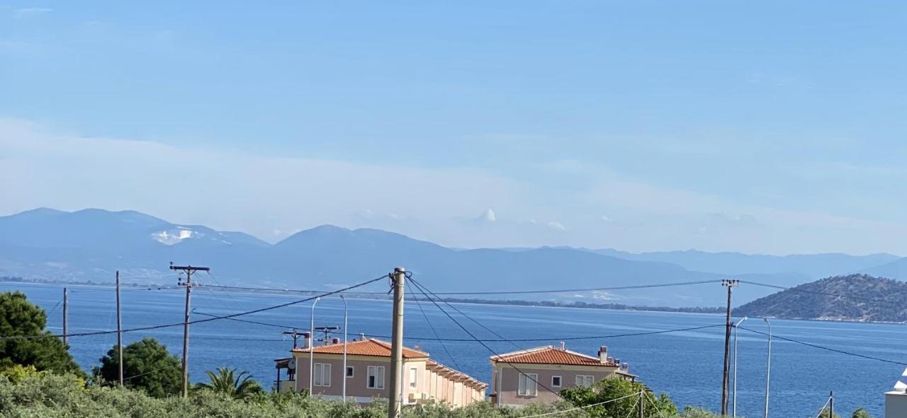 Luminous Luxury Apartments Limenas  Exterior photo